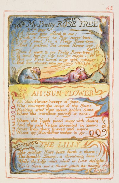 My Pretty Rose Tree; Ah! Sunflower; The Lilly: plate 43 from Songs of Innocence and of Experience by William Blake
